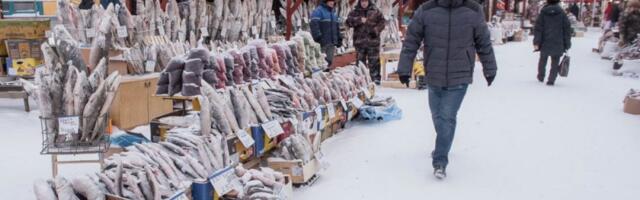 Meso otpada sa kostiju: Najhladniji grad na svetu zabeležio temperaturu od -45 stepeni