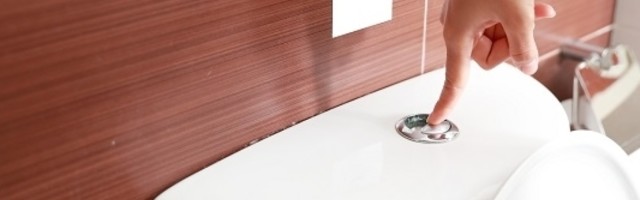 Dva odsto građana EU nema kupatilo