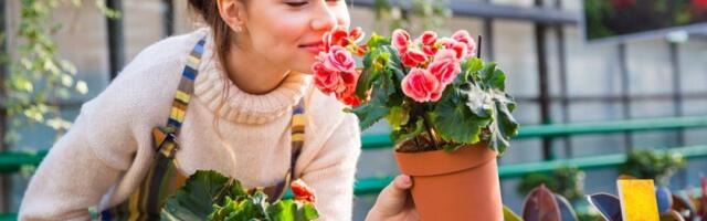 9 biljaka koje se sade u martu: Obnavljaju se svake godine i cvetaju mesecima