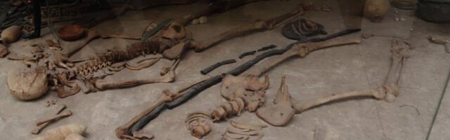 Najstariji predak čoveka potiče sa Balkana? Otkriveni fosil menja sve što znamo o ljudskoj vrsti