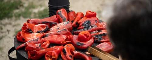 Domaćice sa juga Srbije otkrivaju: Ove tri vrste paprika su najbolje za ajvar!