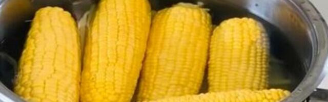 NIPOŠTO NE JEDITE KUVANI KUKURUZ U OVOM SLUČAJU Pravi je letnji favorit, ali NIJE ZA SVAKOGA: Bežite od njega ako..