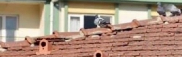 Nakon objašnjenja, ovo je postala hit priča na internetu! (FOTO)