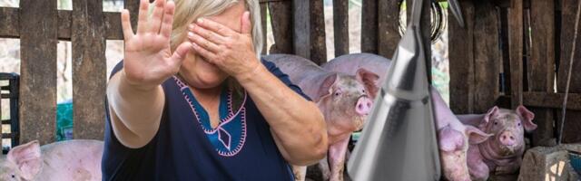 Jeziv zločin kod Barajeva: Zet silovao taštu zvonom za šurenje svinja