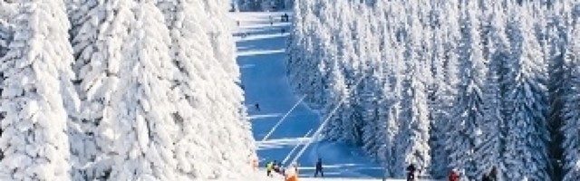 Prave se da traže posao kako bi otišli na skijanje u Austriju