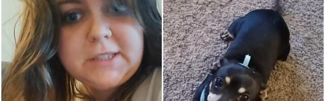 Žena usvojila psa i ostala šokirana: On razume samo španski (VIDEO)