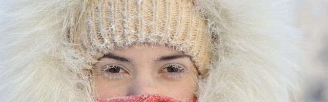 Znaci koji ne podnose zimu