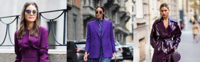 Ljubičasta - najlepša boja zime