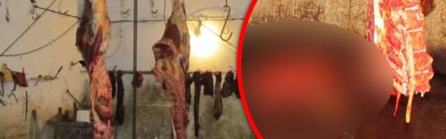 NE DIRAJ Klao životinje, prerađivao ih u nehigijenskim uslovima, pa prodavao u mesari kod škole! U klanici u Velikoj Plani nađeno više od tone mesa i 50 živih prasića! (FOTO)