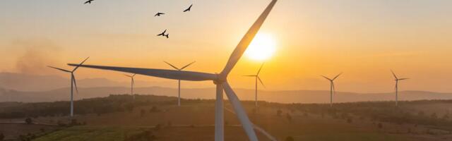 Amazon i dalje investira u obnovljivu energiju 