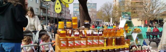 PARAĆIN U SUBOTU CENTAR MEDA I VINA: Sve spremno za dve velike manifestacije (FOTO)