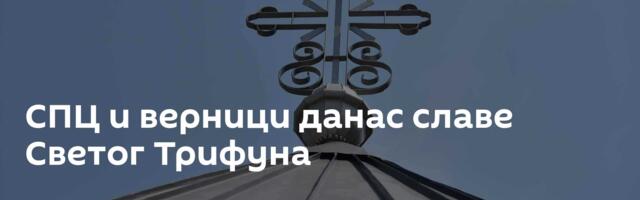 СПЦ и верници данас славе Светог Трифуна