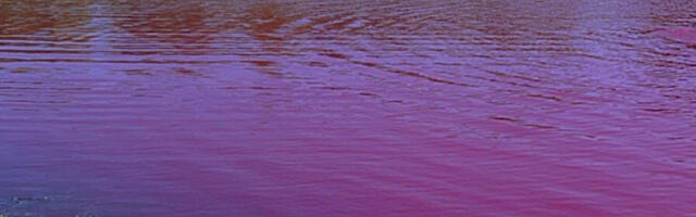 Roze jezero usred Vojvodine: Ovo mesto kriju lokalci, a voda je među najlekovitijima u Evropi