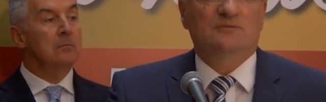 Nikola Vrzić: O reciprocitetu