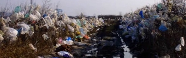 SRAMOTA! Beograd postao žrtva neljudi: Istovaruju đubre u Borči, divlje deponije niču kao pečurke!