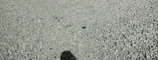 Posetite junske izložbe u Kulturnom centru Beograda