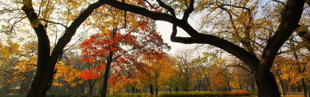 Vetrovita, ali i povremeno sunčana sreda u Novom Sadu - evo šta vas očekuje