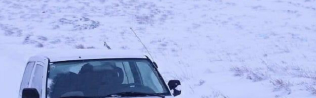 Haos na Dinarskim planinama! Zbog korone pobegli u šume, ali gradski ljudi nisu znali šta je priroda! Kolona vozila ostala pod snegom! (FOTO)