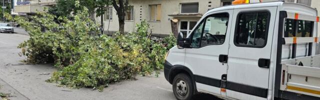 Vetar lomio drveće u Leskovcu, stabla blokirala ulice