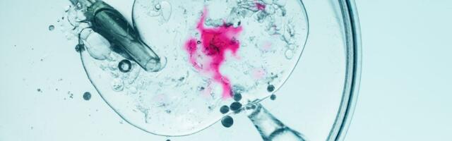 Naučnici prvi put uspeli da "podmlade" jajne ćelije: Ovo poboljšava stopu uspeha vantelesne oplodnje