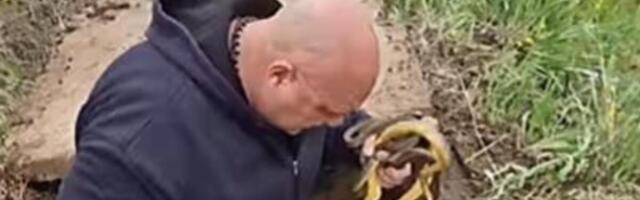 U SRBIJI VREBA JAKO OPASNA ZMIJA! Ujed je SPECIFIČAN, Vladica UPOZORIO SVE: "SAMO OVAKO ĆETE SPASITI ŽIVU GLAVU"
