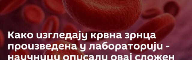 Како изгледају крвна зрнца произведена у лабораторији - научници описали овај сложен процес