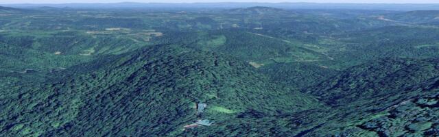 Luksuz usred divljine: hotel od stakla i čelika skriven u srcu tropske šume