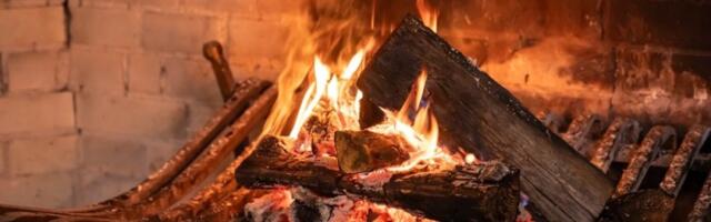 Greje kuću od poda do plafona: Ubacite ovo drvo u šporet i biće vam toplo sve do jutra