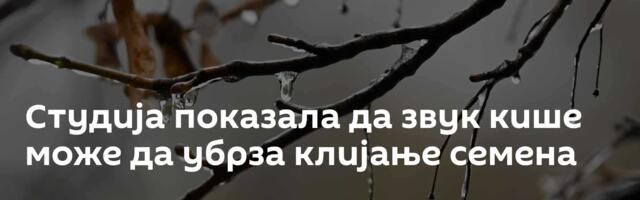 Студија показала да звук кише може да убрза клијање семена