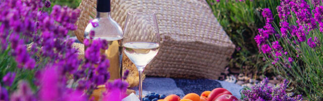 Vreme je za piknik u bašti