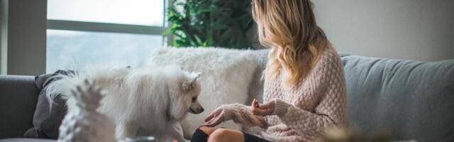 Pas vam donosi HRANU u drugu sobu? Ovo je razlog zbog kojeg se to dešava