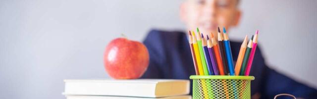 Sve što studenti i đaci treba da znaju pred novu školsku godinu