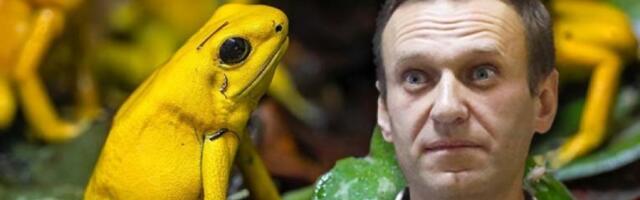 ŠOK TVRDNJE: Aleksej Navaljni otrovan toksinom iz ŽABE? Tajni dokumenti otkrivaju nove detalje