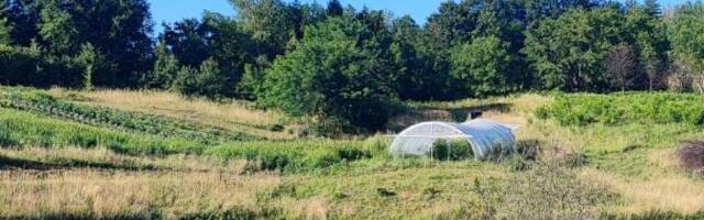 UHAPŠEN VLASNIK RADNJE KOD ALEKSINCA Bez dozvole kopao pesak i šljunak, napravio veštačko jezero i zaradio više od 87 miliona