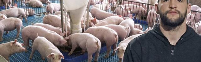 Radnici sa farme Veljka Ražnatovića progovorili o njemu: Evo kako se ponaša