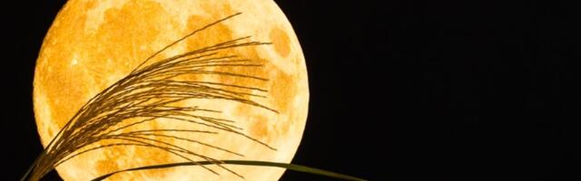 Kako će PUN MESEC U OVNU uticati na svaki znak? Koga čekaju promene, koga sukobi, a kome stižu romantični susreti