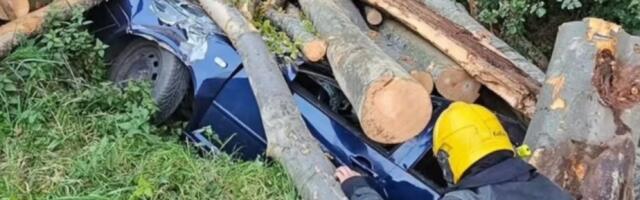 EVO KAKO SE PREVRNUO SE KAMION, ČIJA SU DEBLA SA PRIKOLICE SMRSKALA DVA AUTOMOBILA Četvoro povređenih