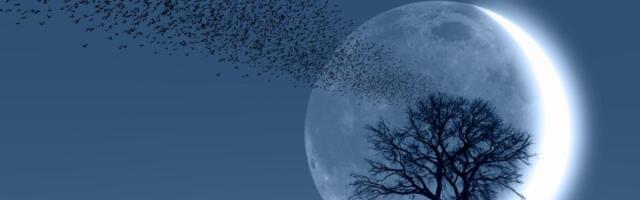 Danas je mlad Mesec u Vagi! 4 znaka neka se spreme za VELIKE PROMENE