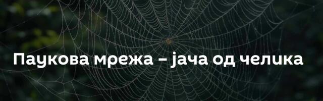 Паукова мрежа – јача од челика