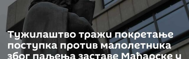 Тужилаштво тражи покретање поступка против малолетника због паљења заставе Мађарске у Суботици