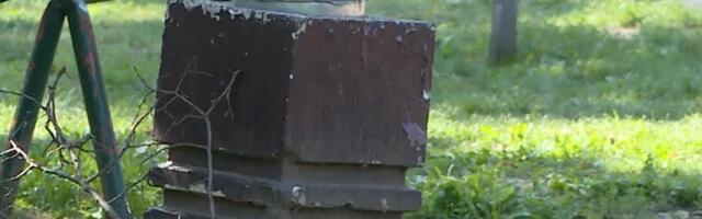 Šapićevo rešenje - nema kanti, nema ni đubreta