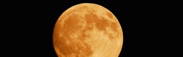 Mesec u Lavu donosi kraljevski tretman za 3 znaka: Zvezde su na njihovoj strani