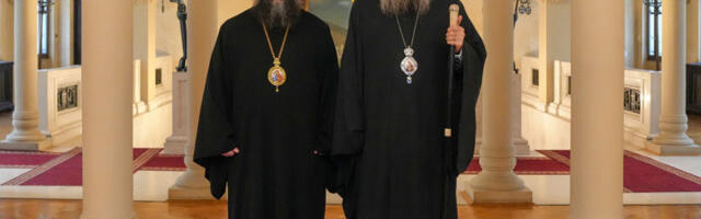 Порфирије разговарао са митрополитом алепским Јефремом из Антиохијске Патријаршије