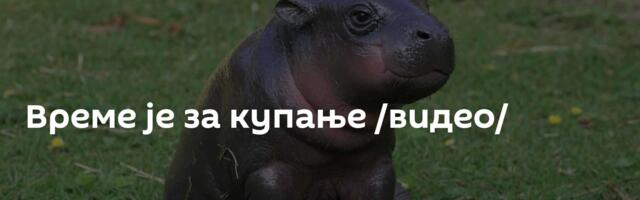 Време је за купање /видео/