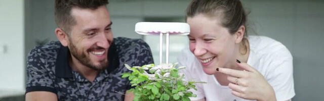 Ukoliko niste čuli, UrbiGo je prvi robot koji gaji vaše omiljene biljke
