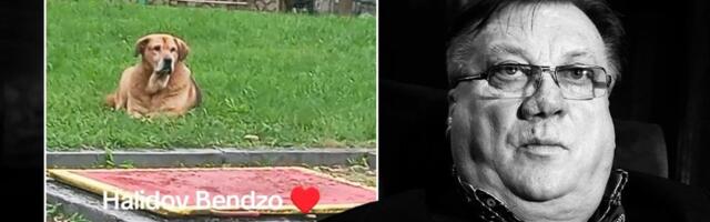 Pas Halida Bešlića rasplakao region - Od pevačeve smrti ništa ne jede (VIDEO)