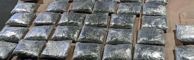 MARIHUANA IMA MEDICINSKU VREDNOST U SAD: Tramp potpisao uredbu, proglašena za manje opasnu drogu