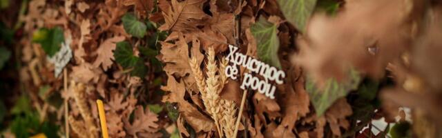 Evo šta treba da uradite s badnjakom posle Božića: U jednoj stvari mnogi greše, a nikako ne bi smeli