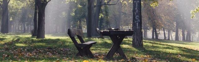 Dedovina zarasla vegetacijom ili javno dobro koje treba zaštititi: Ima li razloga za brigu zbog najavljene izgradnje u zoni Zvezdarske šume?