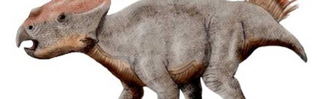 Misterija rešena: Nestali dinosaurusi u Evropi nisu zapravo nikad nestali